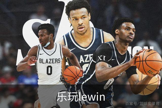 乐玩lewin企业展示图